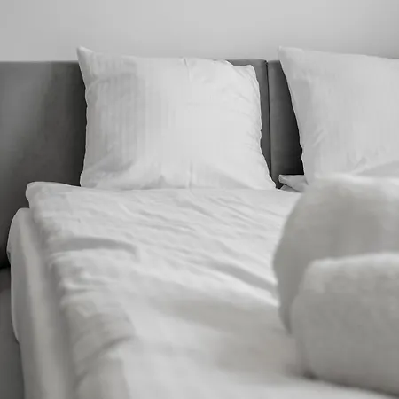 Zencow 5 By Nyx * Warsaw